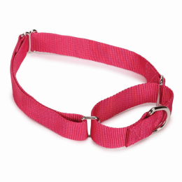 GG Nylon Martingale Collar 14-20In Pnk
