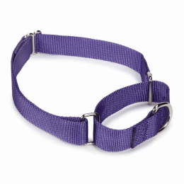 GG Nylon Martingale Collar 10-16In Pur