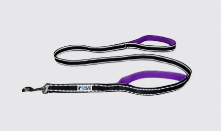 Headlight Harness Double Handle Reflective Leash (Color: Purple, Size: 6ft)