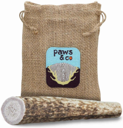 Whole Antler Chew (Color: , Size: Small)