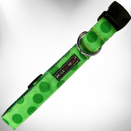 Polka Dot Dog - Monotone Collars (Color: Green, Size: L 1" width fits 14-25" neck)