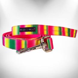 Tie Dye Dog Leads (Color: Pink/Green, Size: REGULAR Lead 1" width- 5' length)