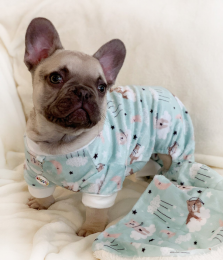 Ultra Soft Plush Minky Bedtime Bears Pajamas (Color: Green, Size: XL)
