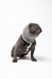 PET HOODZ DOG HOODIES FOR ANXIETY (Color: Grey, Size: Large)