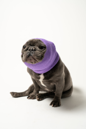 PET HOODZ DOG HOODIES FOR ANXIETY (Color: Lavender, Size: Large)